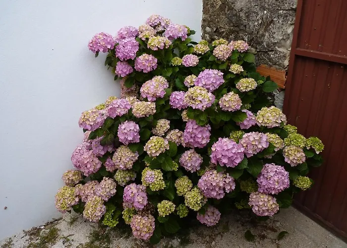 Refugio Da Ti Maria Batalha