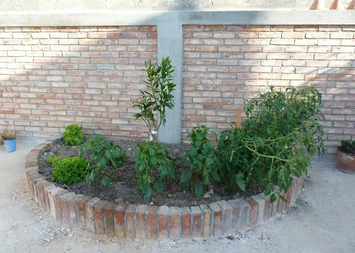 Refugio Da Ti Maria Batalha