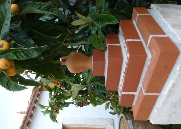 Refugio Da Ti Maria * Batalha